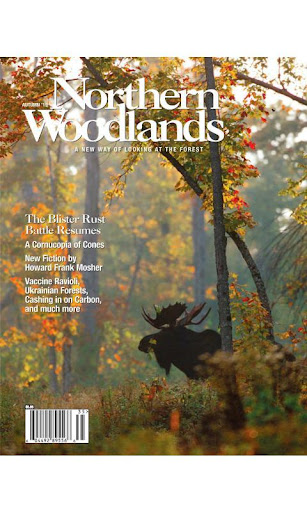 Northern Woodlands Magazine