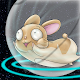 Download Space Hamster  1.1