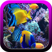 Ornamental Fish Culture 1.0 Icon