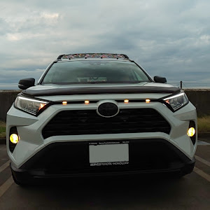 RAV4 AXAH52