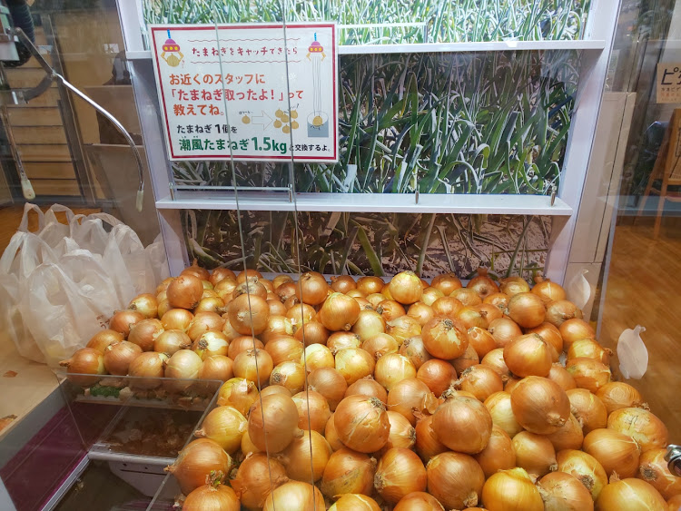 S660のうずの丘 大鳴門記念館・淡路島・玉ねぎ・あわじ島バーガーに関するカスタム事例の投稿画像5枚目