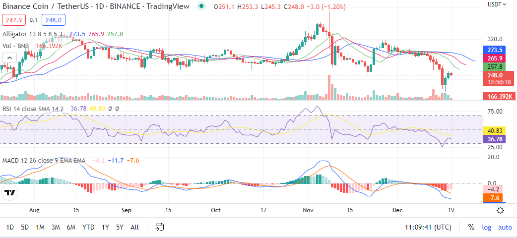 Binance Coin (BNB) plunge: Sifting through the FUD 2