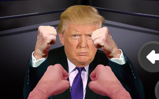 Punch Trump