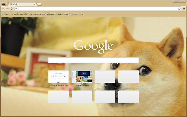 doge chrome extension