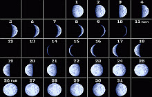 Moon Phases Calendar small promo image