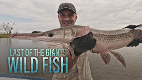 Last of the Giants: Wild Fish thumbnail