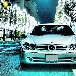 SL R230