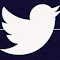 Item logo image for Tweet Saver