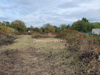 terrain à Isles-sur-Suippe (51)