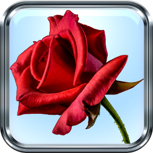 Download Imágenes de Rosas Rojas Bonitas For PC Windows and Mac