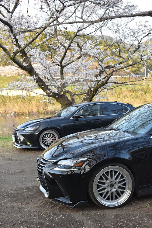 GSの毎月10日はL10系GSの日・モデリスタ・桜の木の下で・同車種コラボ・サクラと愛車に関するカスタム事例の投稿画像2枚目