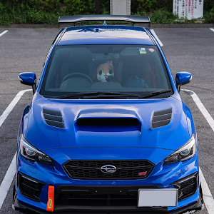 WRX STI VAB