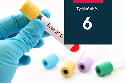 6. tydzień ciąży - kalendarz ciąży