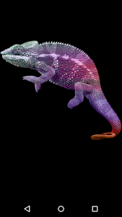 Chameleon(圖4)-速報App