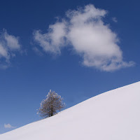 bianco e blu di 