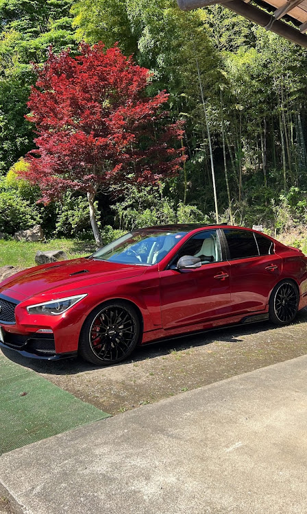 スカイラインのV37スカイライン・いつもイイネ&コメントありがとうございます🙇‍♂️・ガマン出来んかった(◎_◎;)・聖地tia邸・男の子の自転車に関するカスタム事例の投稿画像5枚目