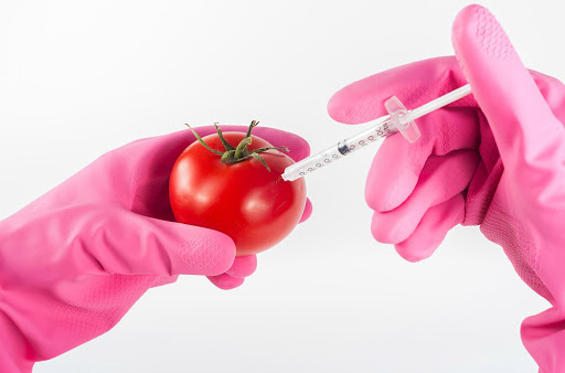 Ševarlić traži referendum o GMO
