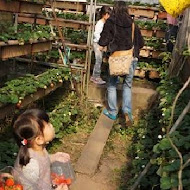 穠舍田園咖啡 餐廳 休閒農場