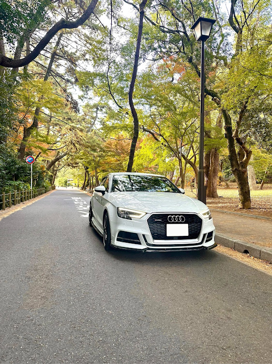 A3 セダンのカメ活練習📸・朝活📸✨・紅葉🍁探し🤭に関するカスタム事例の投稿画像2枚目