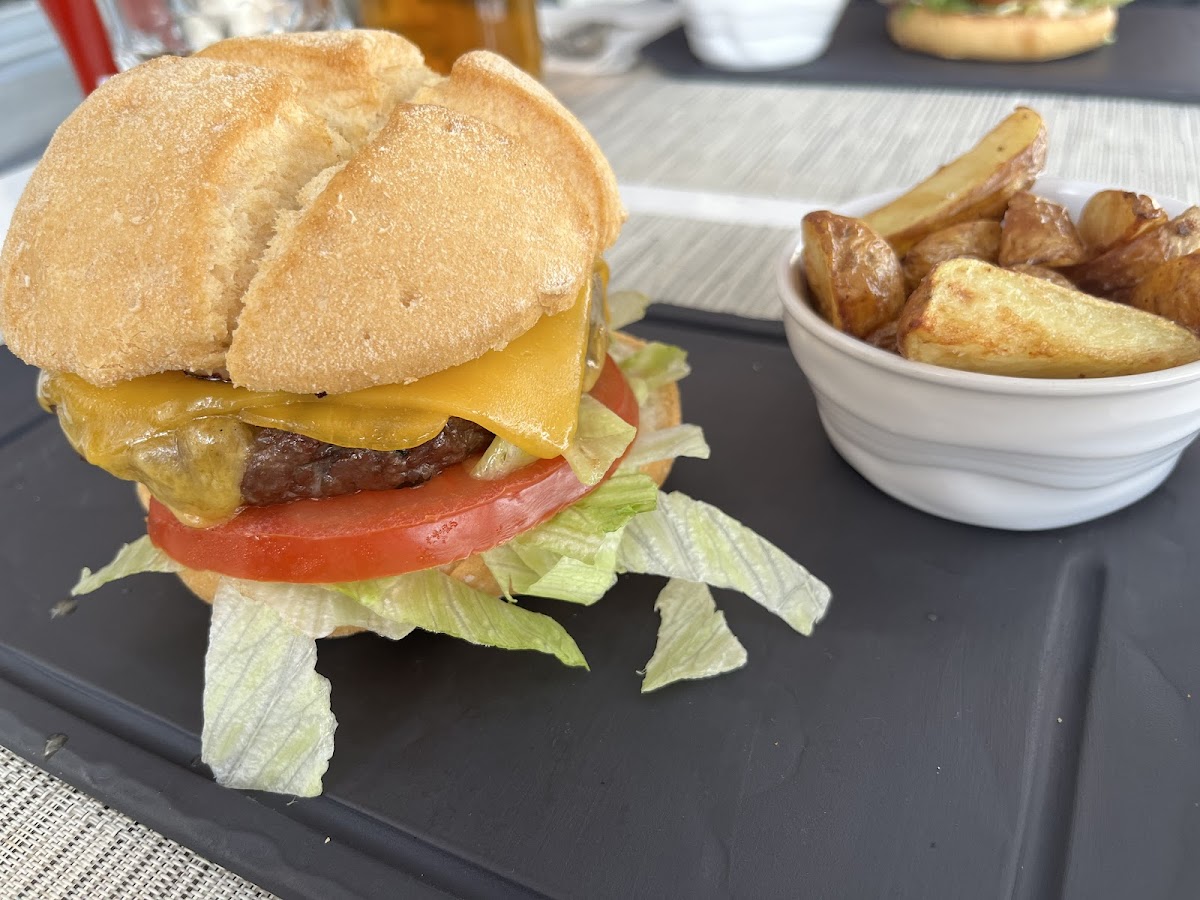 Gluten free burger and fries