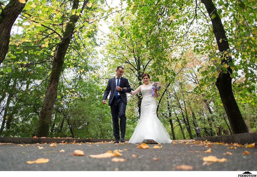 Fotógrafo de casamento Eldar Gurtuev (elguru). Foto de 11 de novembro 2014