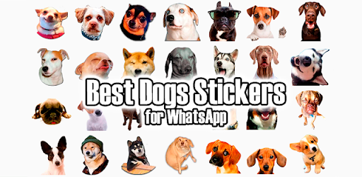 Cute Dog Stickers for WhatsApp