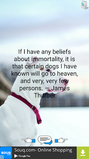 Quotes About Dogs