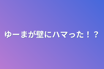 ゆーまが壁にハマった！？