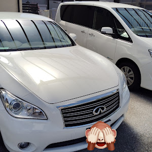 フーガ HY51
