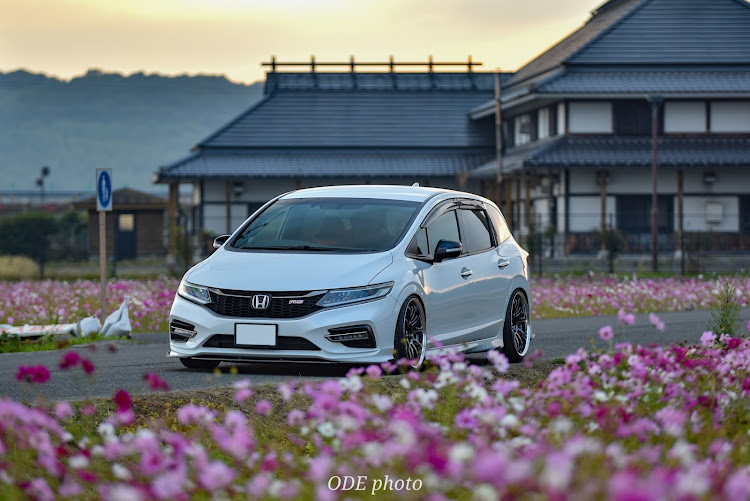 ジェイドのWORK ZR10 2P・BLITZ BIG CALIPER KIT Ⅱ・V-VISION マフラー・SIGMA Art・コスモスと愛車に関するカスタム事例の投稿画像2枚目