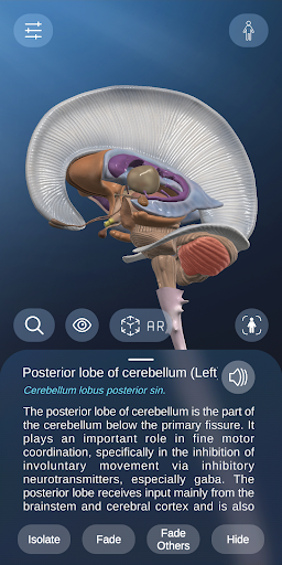 Screenshot AR Anatomy