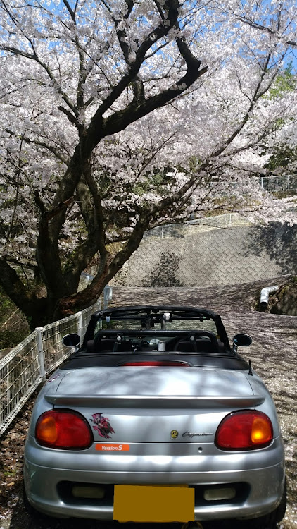 カプチーノの桜と愛車・カプチーノ と過ごす日々・麺　謹製　3l’s（サンライズ）・ドライブ・桜に関するカスタム事例の投稿画像7枚目