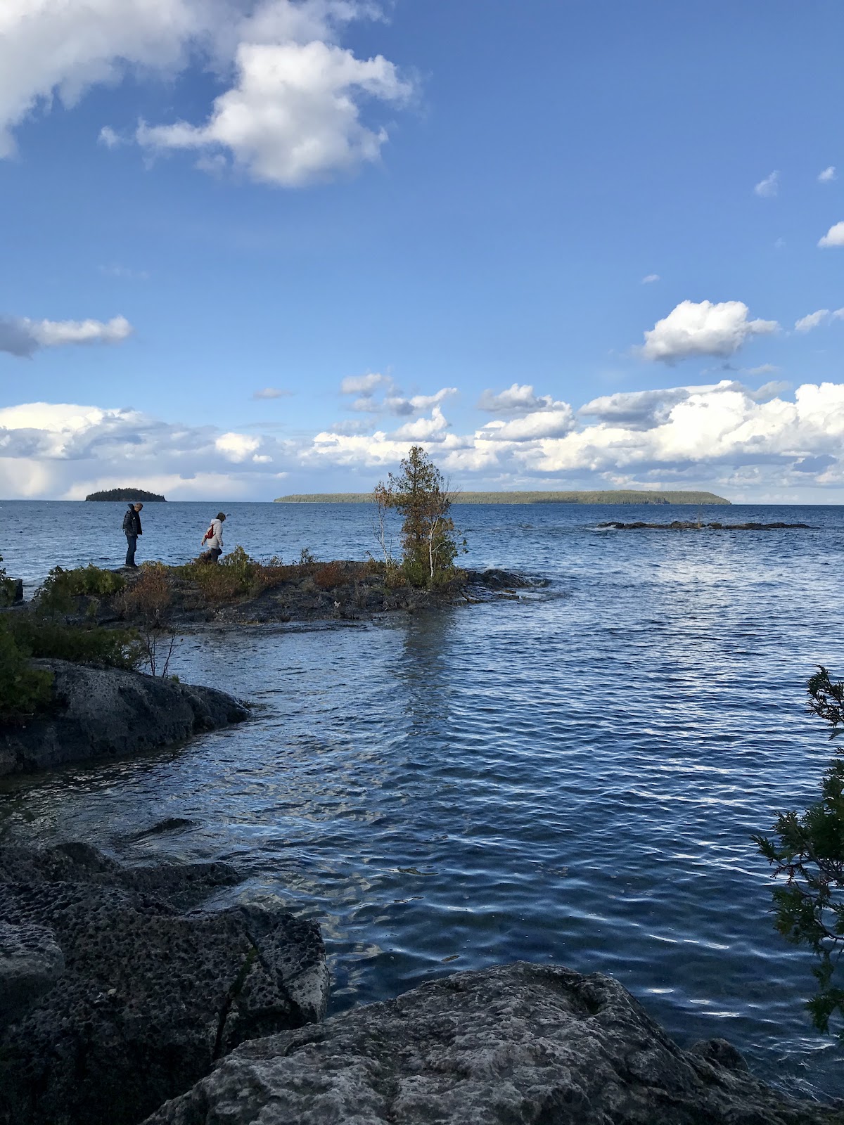 mermaid's cove tobermory