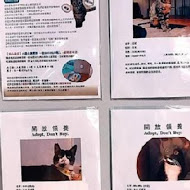 O CAT CAFÈ 貓咪咖啡廳