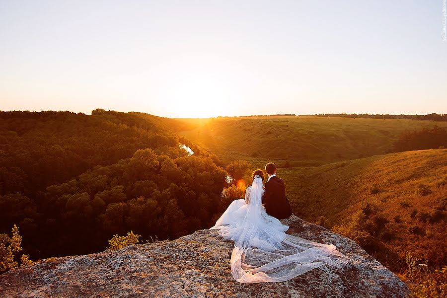 Bryllupsfotograf Svetlana Chelyadinova (kobzeva). Bilde av 17 september 2019