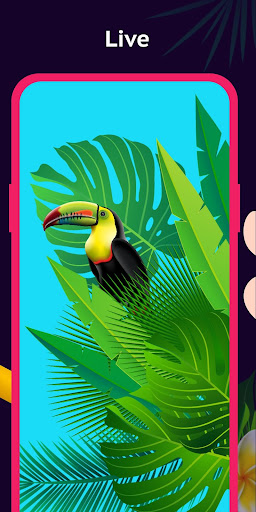 HD - flashcall, 3d wallpapers, themes 4k