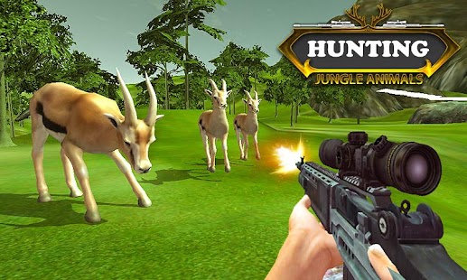 hunting Jungle Animals