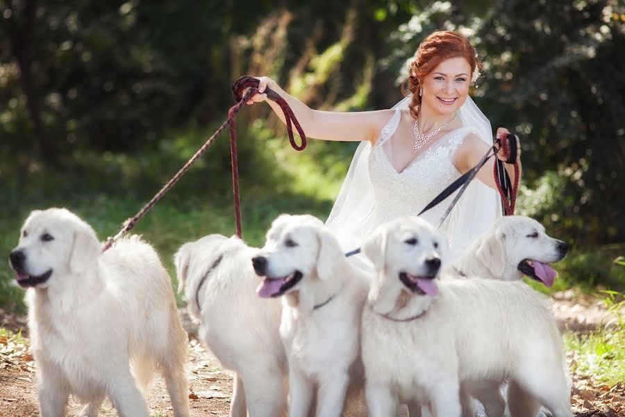 Wedding photographer Ekaterina Terzi (terzi). Photo of 27 May 2014