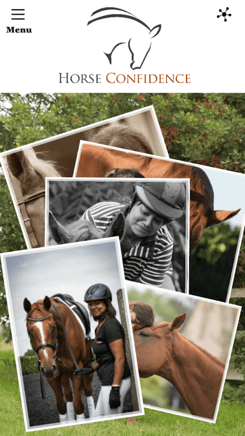 Android application Horse Confidence screenshort