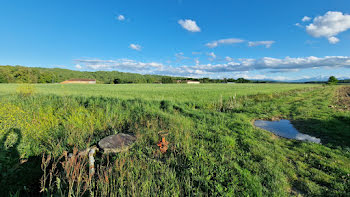 terrain à Duffort (32)