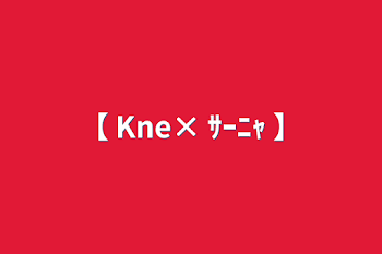 【 Kne× ｻｰﾆｬ 】