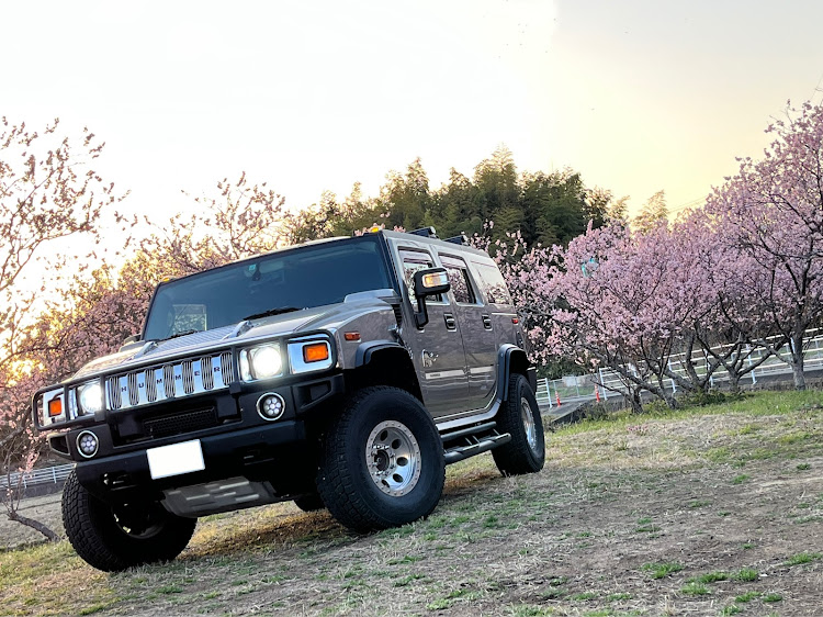 H2のアメ車・アメ車好き・河津桜とコラボ・地震大丈夫でしたか？に関するカスタム事例の投稿画像2枚目