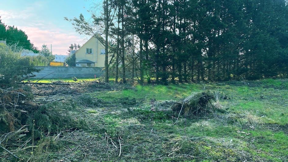 Vente terrain  647 m² à Wolfgantzen (68600), 116 000 €