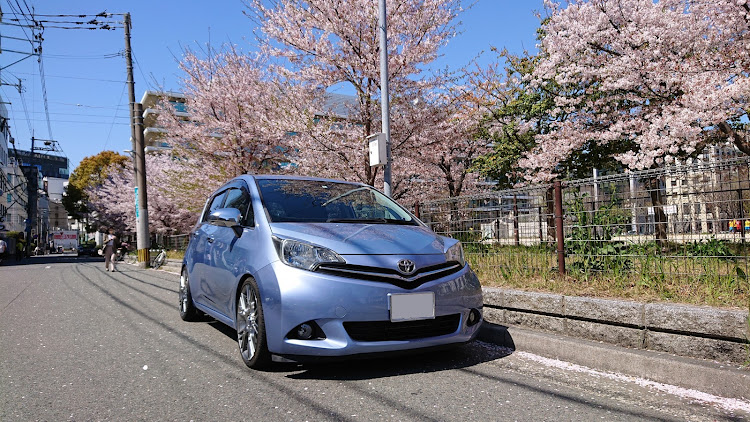 ラクティスの桜とコラボに関するカスタム事例の投稿画像1枚目