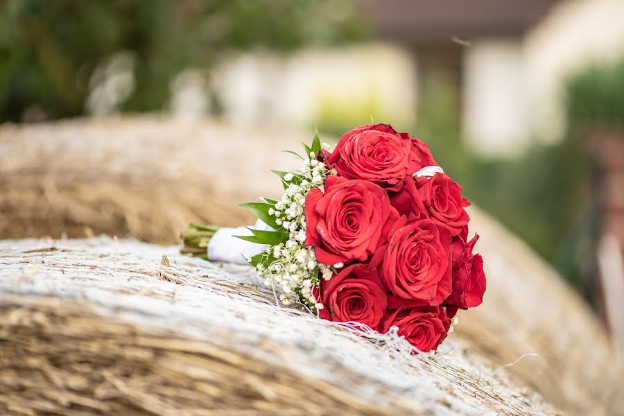 Fotografo di matrimoni Michal Zapletal (michal). Foto del 28 settembre 2018