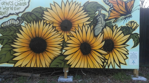 Sunflower Mural