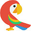 Parrot Wallpaper