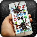 Herunterladen Spider in phone Installieren Sie Neueste APK Downloader