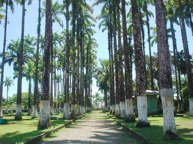 Lyn Gateley: "Stretching along the Caribbean coast of Costa Rica, the Limon province is a magical mixture of mangroves, pristine beaches and tropical forests.These picturesque lowlands sustain a rich natural beauty that conservationists are working hard to protect."