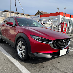 CX-30 DMEP